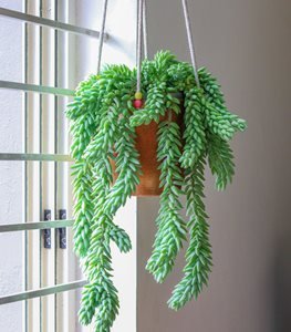 The Cascading Gem | 'Emerald Teardrops'